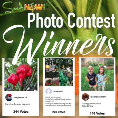 The Results are IN! // View Photo Contest Winners & "STAFF PICKS"!