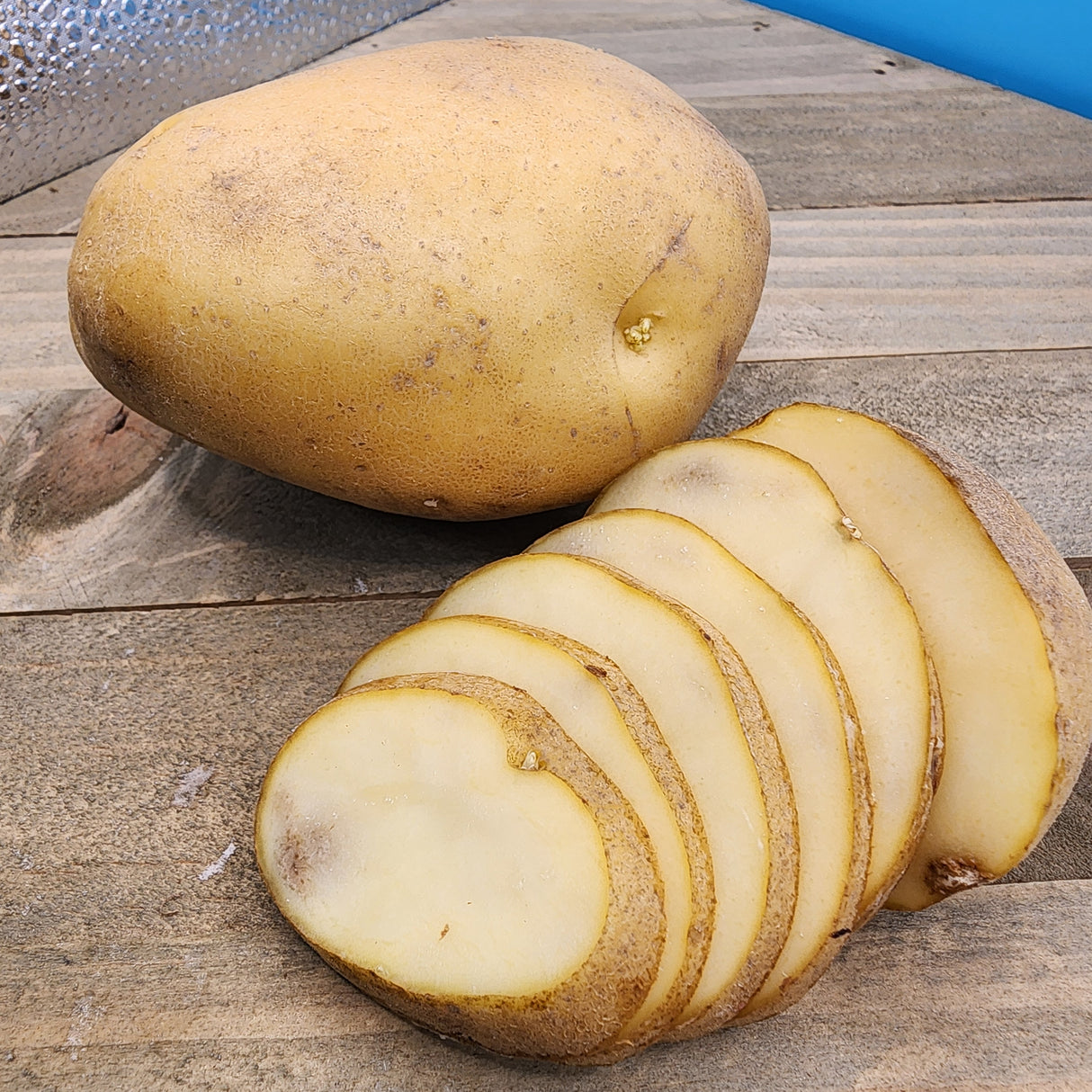 Potato (Mid-Season) - Kennebec (Organic rounds) *pre-order*