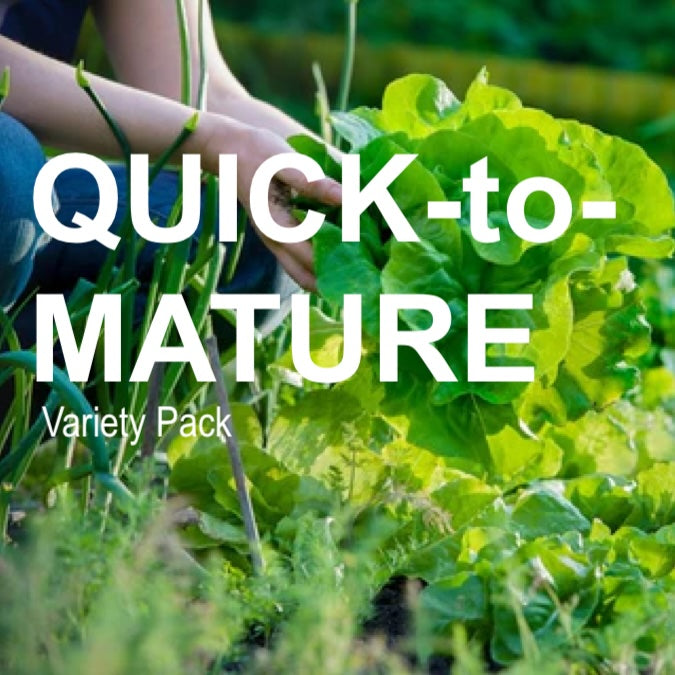 All-in-One Quick-to-Mature (45 days or less!) Garden Variety Pack - SeedsNow.com - *Variety Packs