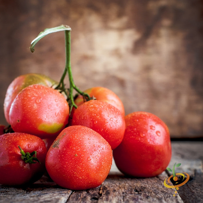 Fresh Bonny Best indeterminate tomato seeds from SeedsNow, showcasing vibrant seed packets for garden planting.