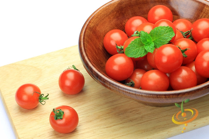 Tiny Tim tomato seeds from SeedsNow, small determinate tomato plant seeds ideal for container gardening and home growing.