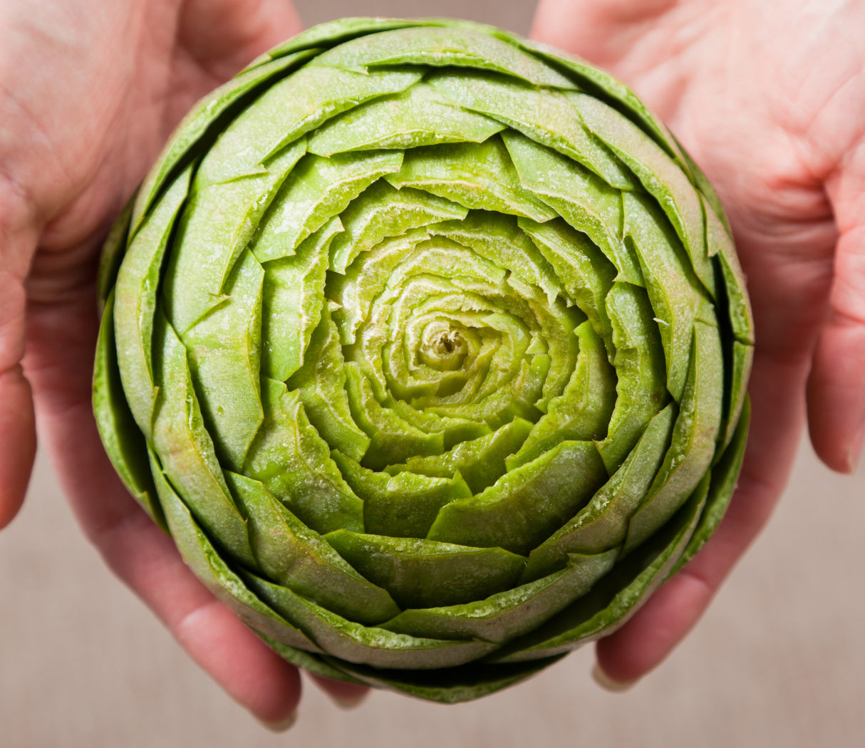 Green Globe artichoke seeds from SeedsNow, showcasing fresh seed packets for planting artichokes.