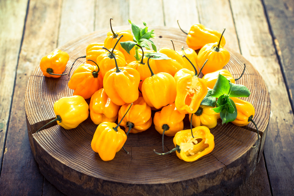 Pepper (Hot) - Habanero, Lemon ๐ฅ๐ฅ๐ฅ๐ฅ - SeedsNow.com