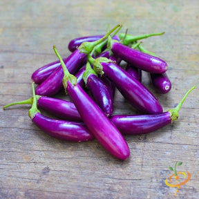Cluster of long purple eggplants (aubergines) with green stems on a wooden surface