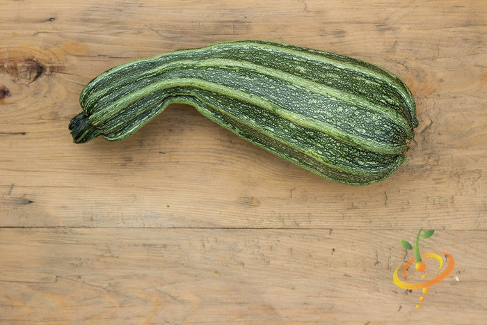 Squash (Summer) - Cocozelle.