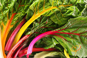 Swiss Chard - Rainbow Mix.