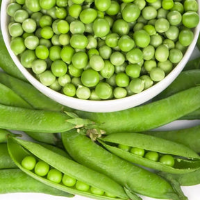 Buy Green Arrow Pea Seeds High-quality Heirloom Seeds | Buy online in USA!
