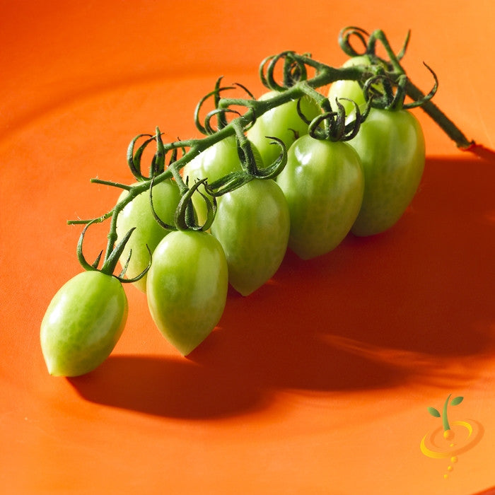 Green Grape Tomato Seeds  (100% Heirloom/Non-Hybrid/Non-GMO)